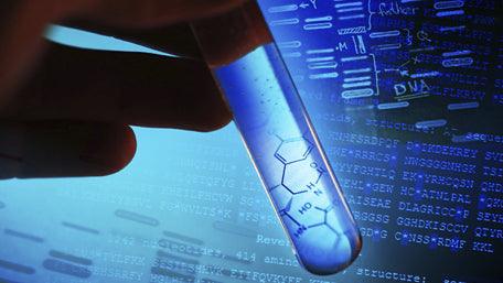 Your DNA & Wellness